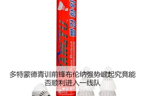 duo-te-meng-de-qing-xun-qian-feng-bu-lun-na-qiang-shi-jue-qi-jiu-jing-neng-fou-shun-li-jin-ru-yi-xian-dui-3-799.jpg